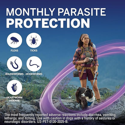 NexGard Plus (afoxolaner, moxidectin, and pyrantel) Flea and Tick Protection & Heartworm Preventive for Dogs Soft Beef Flavored Chewables, 66.1-132 lbs. (Red) 6 Chews (6 Month Supply)