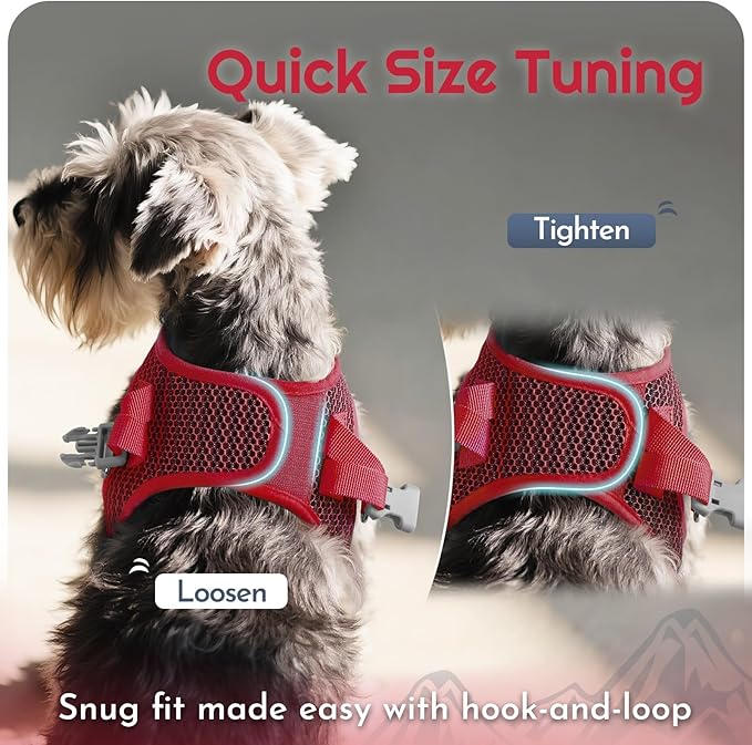 Eagloo Small Dog Harness and Leash Set, Step in Puppy Vest with Breathable Soft Mesh, Walking Reflective Pet Harness for Small Dogs, Red, XS