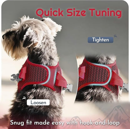 Eagloo Small Dog Harness and Leash Set, Step in Puppy Vest with Breathable Soft Mesh, Walking Reflective Pet Harness for Extra Small Dogs, Red, XXS
