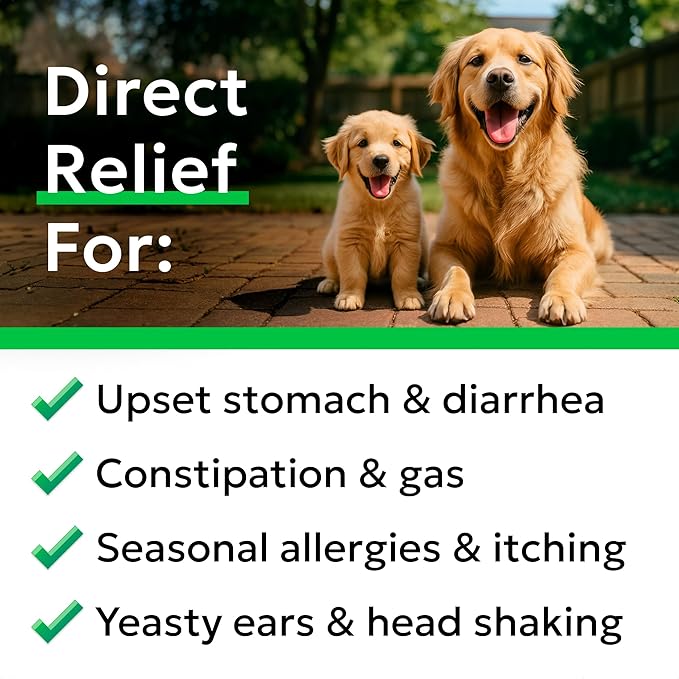 BARK&SPARK Dog Probiotics & Digestive Enzymes (Gut Health) Allergy & Itchy Skin - Pet Diarrhea Gas Treatment Upset Stomach Relief, Digestion Health Prebiotic Supplement Dog Treats (240Ct Chicken)