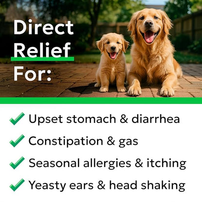 Bark&Spark Dog Probiotics & Digestive Enzymes (Gut Health) Allergy & Itchy Skin - Pet Diarrhea Gas Treatment Upset Stomach Relief, Digestion Health Prebiotic Supplement Large Dog Treats (240Ct Bacon)
