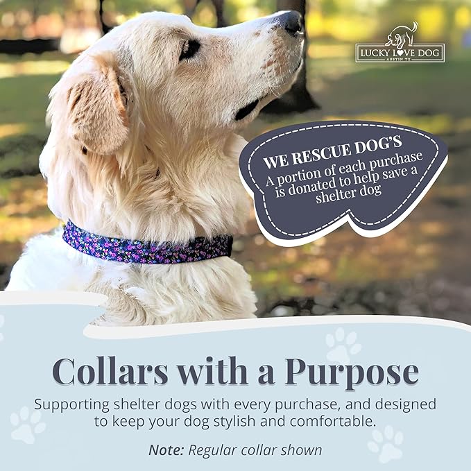 Lucky Love Dog Martingale Dog Collar - Adjustable, No-Slip, Durable, & Soft Webbing Collar for Male and Female Dogs Ideal for Training & Walking - Primrose, Small
