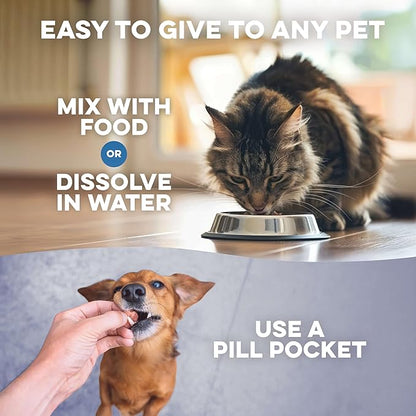 Dog Liver Supplement Detox Formula – Gentle Hepatic Liver Support for Dogs with Vomiting Or Stomach Upset – with Natural Milk Thistle for Dogs – Tiny Odorless Pills for Stress-Free Dosing – 400 Count
