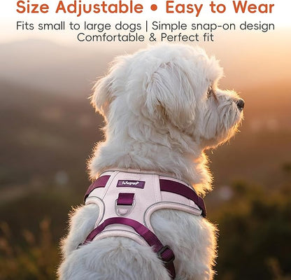 3 in 1 No Pull Dog Harness Leash and Collar Set, Soft Adjustable Dogs Vest Reflective and Comfortable Handle Pink Large