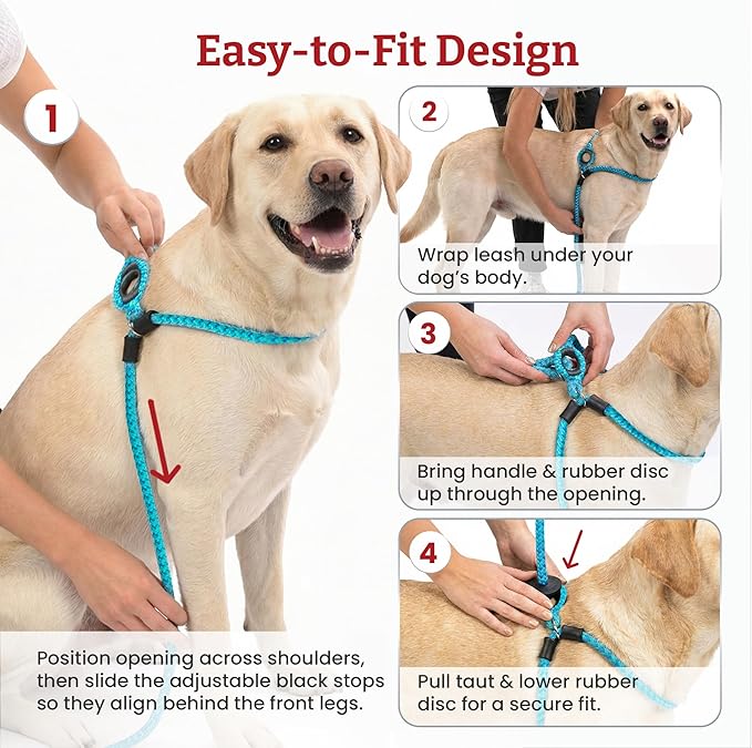 Harness Lead No Pull Dog Harness and Leash Set, Anti Pull Dog Harness, One-Piece Cushioned Rope Safely Prevents Escaping and Pulling (Medium/Large, Purple/Turquoise)