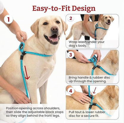 Harness Lead No Pull Dog Harness and Leash Set, Anti Pull Dog Harness, One-Piece Cushioned Rope Safely Prevents Escaping and Pulling (Small/Medium, Peacock/Blue/Lime)