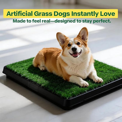 Pawise Dog Grass Pad with Tray, 20x25 Inch Artificial Turf Puppy Potty Pad, Indoor Outdoor Dog Toilet with Pull-Out Drawer & Free Garbage Bags, Dogg Litter Box for Potty Training