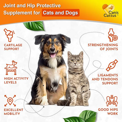 Canis&Cattus Liquid Glucosamine Dogs and Cats – Joint Supplement with MSM & Chondroitin – Mobility & Hip Support for Pets – Beef Flavor – 2oz