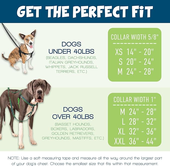 2 Hounds Design Freedom No Pull Dog Harness, Adjustable Harness, Easy Walking & Comfortable Control, Fits Small, Medium & Large Dogs, Solid Colors, Made in USA, 1" LG, Red