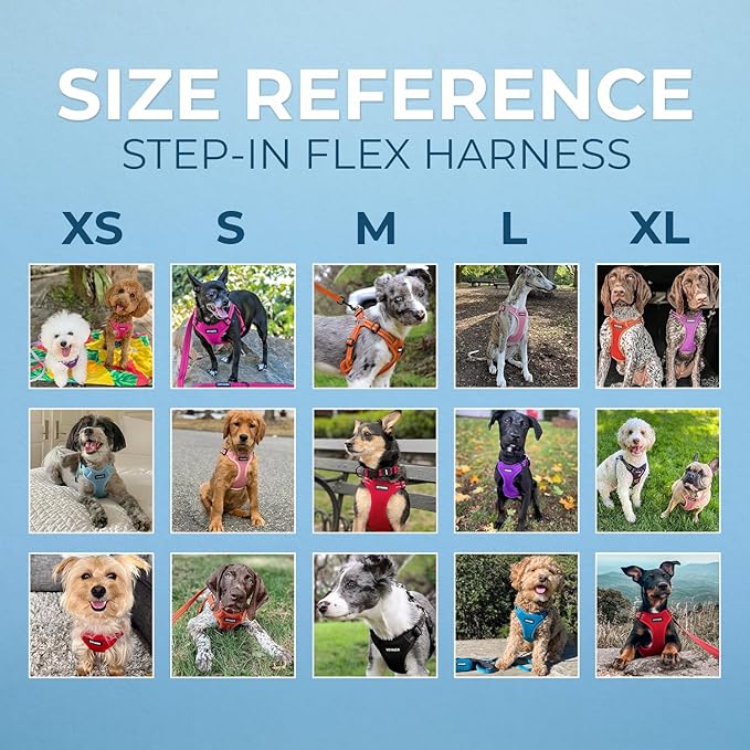Best Pet Supplies Voyager Adjustable Step-in Flex Breathable Mesh Dog Harness for Small Medium Large Dogs Leash Set (Red), M