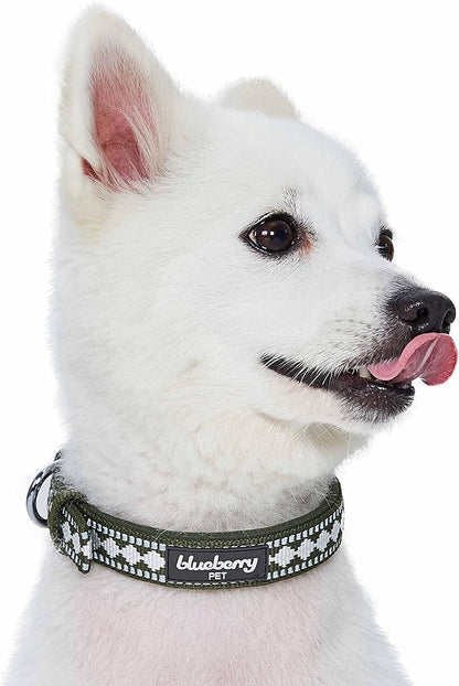 Blueberry Pet Reflective Jacquard Dog Collar with Neoprene Padding & Metal Buckle | Soft & Adjustable Safety Collar - Olive, Neck 17-20.5", for Large Breed