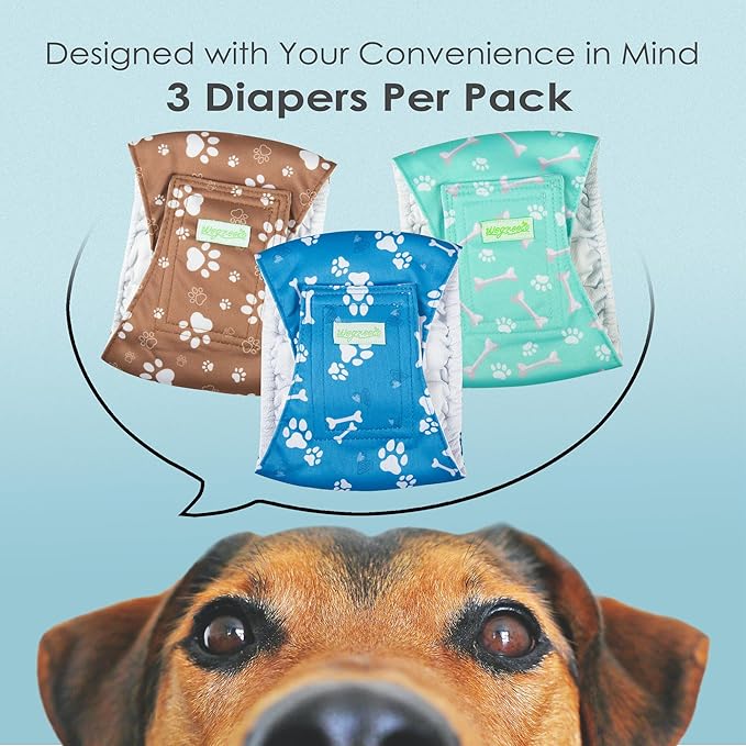 Wegreeco Washable Male Dog Belly Band - Pack of 3 - Washable Male Dog Belly Wrap, Small Doggie Diapers for Doggy Puppy (Bone, Small)