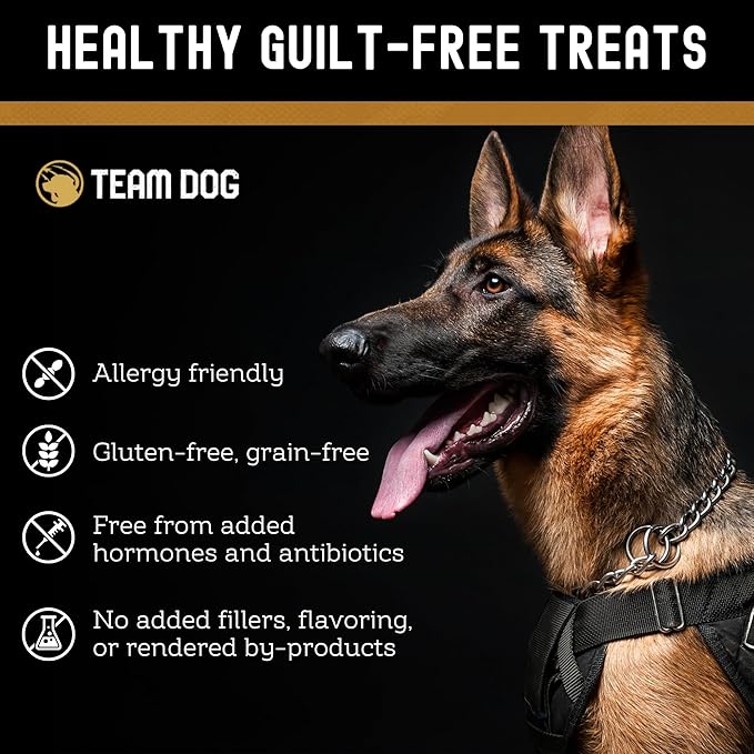 Team Dog Freeze Dried Turkey Dog Treats for Training | Healthy Gluten Free, Grain Free Dog Treats | No Added Fillers, Flavoring or by-Products | for All Breeds & Sizes | 5.2 Oz Turkey Bites