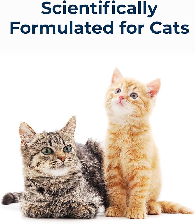PetAg Cat-Sip Real Milk - 8 oz, 12 Pack - Ready-to-Feed Snack for Cats & Kittens - Easy to Digest with 99% Lactose-Free, Low-Fat Grade A Milk - Encourages Hydration