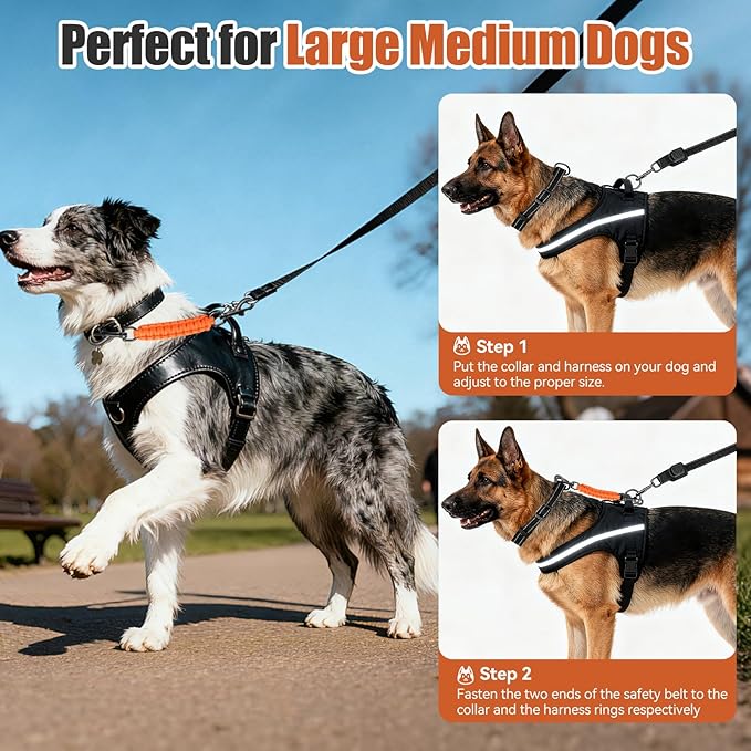 Dog Collar Safety Clip with Dual Clasps,Handmade Backup Safety Strap for Dog Harness, Collars and No Pull Harness Connectors (Orange)