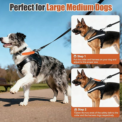 Dog Collar Safety Clip with Dual Clasps,Handmade Backup Safety Strap for Dog Harness, Collars and No Pull Harness Connectors (Orange)