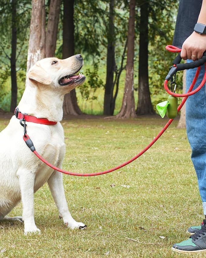 Dynmeow Reflective Dog Collar and Leash Set, 6FT Strong Climbing Rope Leash with Padded Handle, Adjustable Pet Collar with Soft Neoprene Padding for Medium Large Dogs, Red, M