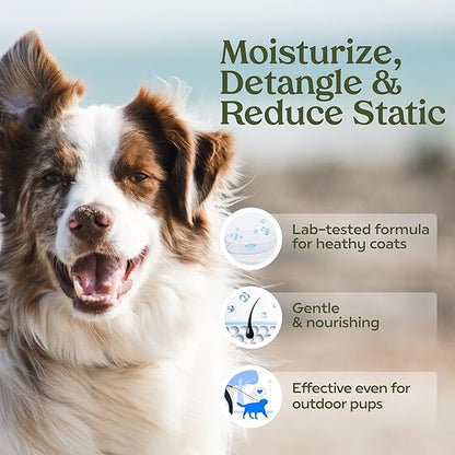 PAWFUME Dog Perfume Spray for Grooming, Blue Ribbon, 4-Pack – Keep Your Pup Fresh All Day – Probiotic, Alcohol-Free, Detangling & Moisturizing – Salon-Quality Dog Spray Deodorizer Perfume