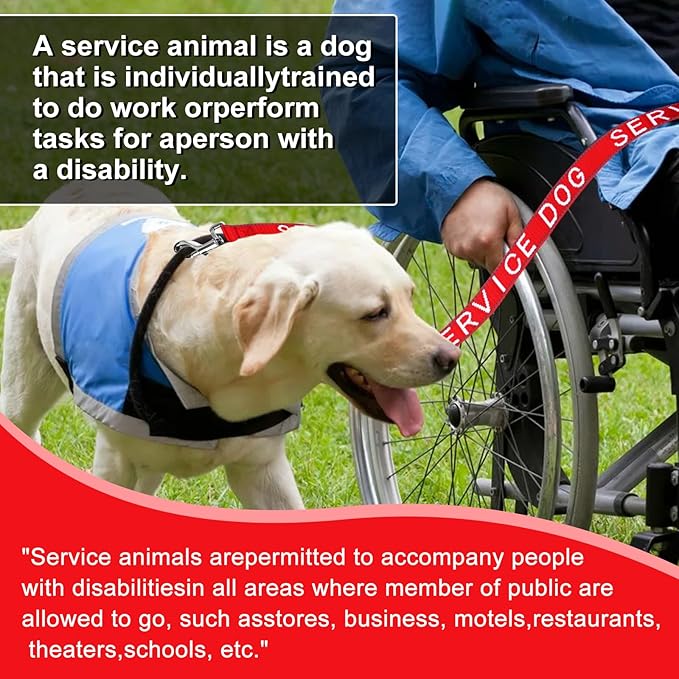 YeeBeny Service Dog Leash, Emotional Support Leash with Neoprene Handle and Reflective Lettering, Service Dog Stuff for Vest for Harnesses, Vests or Collars (Red, 0.6width)