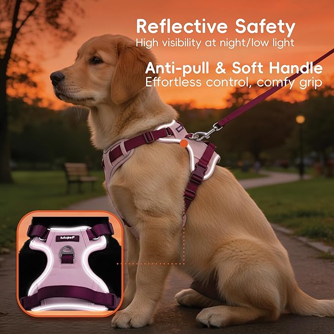 3 in 1 No Pull Dog Harness Leash and Collar Set, Soft Adjustable Dogs Vest Reflective and Comfortable Handle Pink Large