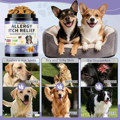 Dog Allergy Relief Chews - Dog Itching Skin Relief 500 Ct, Anti Itch Licking Paw & Yeast Relief, Itchy Skin and Ears for Seasonal Allergies, Probiotics Gut Digestive & Immune Support