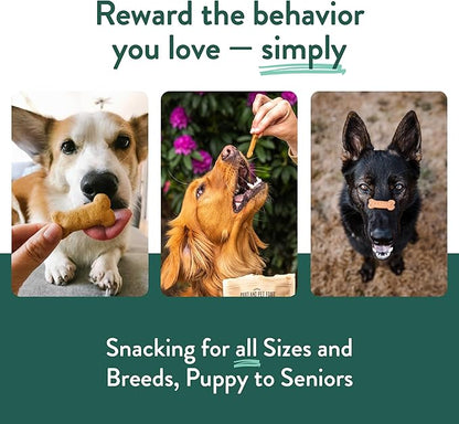 Portland Pet Food Company Apple & Mint Dog Treats Healthy Biscuits for Small Medium & Large Dogs - Grain-Free, Human-Grade, All Natural Dog Cookies, Snacks & Training Treats - Made in the USA - 5 oz