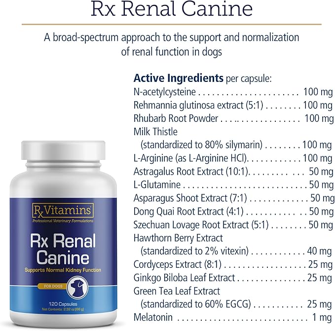Rx Vitamins Rx Renal Canine Kidney Support for Dogs - Milk Thistle Extract, Green Tea, & Cordyceps Capsules for Dogs - Dog Kidney Support Supplement - 120 ct