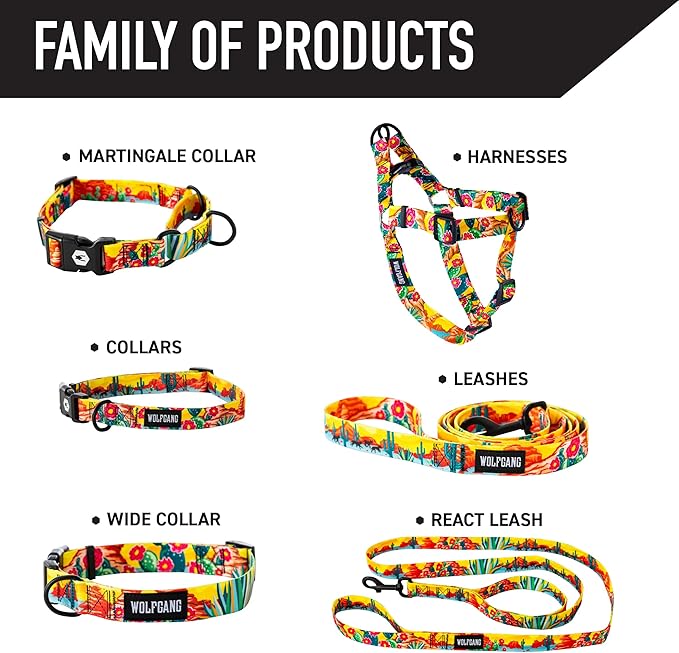 Wolfgang Heavy Duty Martingale Dog Collar with Quick Release Nylon Buckle for Walking & Training, PackLeader Print, Small