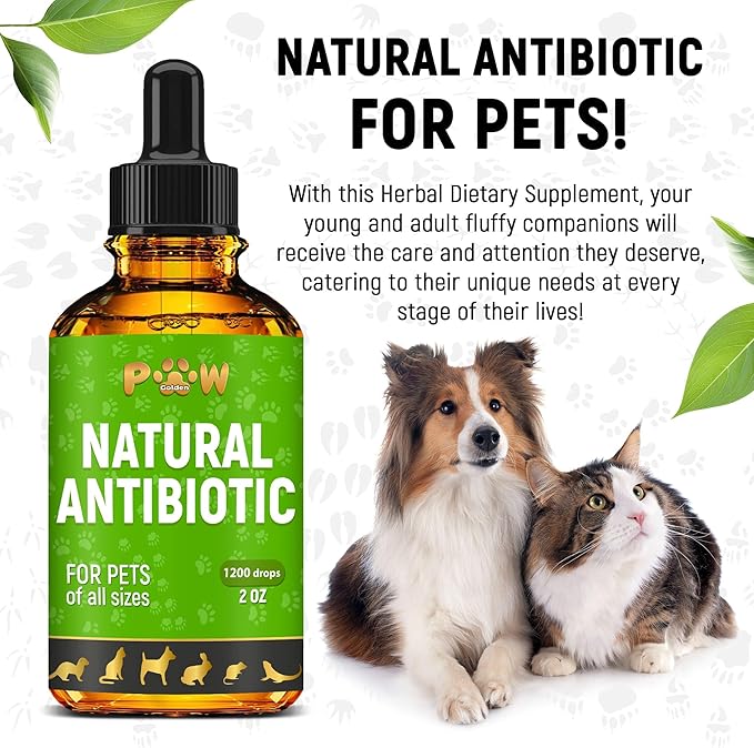 Dog Antibiotics for Infection, Coughs, UTIs, Allergies, Itching | Natural Antibiotics for Cats to Support Skin, Coat, & Digestion | for All Breeds & Ages | 2 oz