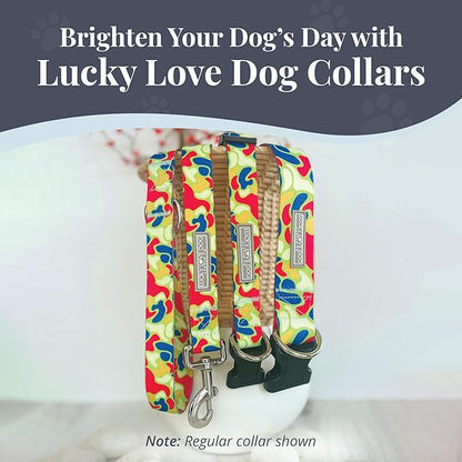 Lucky Love Dog Martingale Dog Collar & Leash - Adjustable, No-Slip, Durable, Comfortable, Soft Webbing, & Stylish Patterned Collar & Leash Set for Male and Female Dogs - Oscar Combo, Small