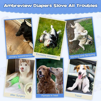 Ambreview Dog Diapers Female, Disposable Pulled Up Dog Diaper with Stretchy Waist, Super Absorbent 360° Leak-Proof Doggie Diapers for Female Puppy Dogs in Heat/Urinary Incontinence (10S)