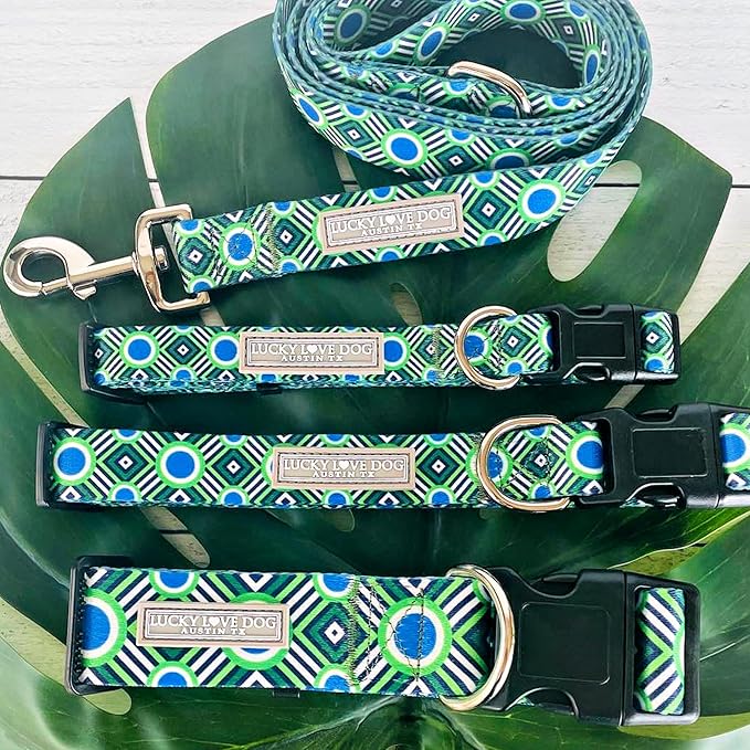 Lucky Love Dog - Easy Click Buckle Dog Collar with Leash Set Combo, Durable & Comfortable for Male & Female Dogs, Pet Collar for Medium Dogs, Secure Fit - Leo Combo, Medium