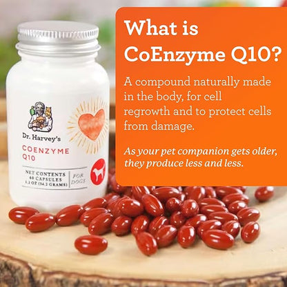 Dr. Harvey's Coenzyme Q10 - Heart & Cardiovascular Support Supplements for Dogs, 60 Capsules