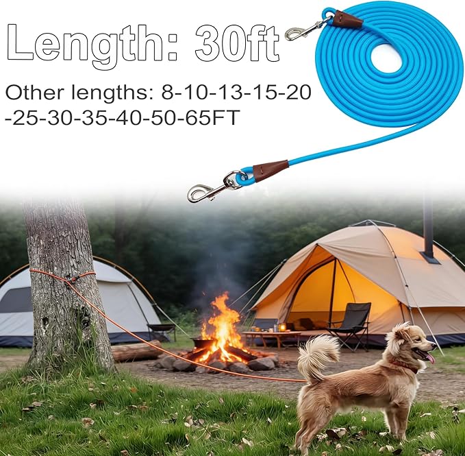 20FT Dog Tie Out Leash, Long Tether 10ft 15ft 20ft 30ft Nylon Rope Check Cord for Medium Large Dogs Indoor/Outdoor Playing Camping Backyard (Blue, 3/8")