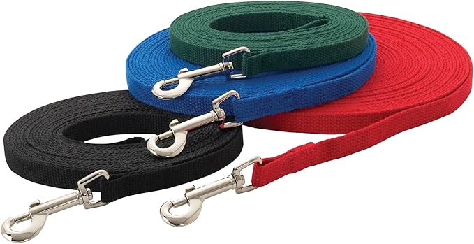 Guardian Gear Cotton Web Training Lead 30 Ft Red