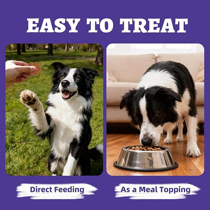 Just Try 15 OZ Blueberry Dog Treats Biscuits Eye Function Immune Support for Dogs Training Treats Healthy Dog Treats