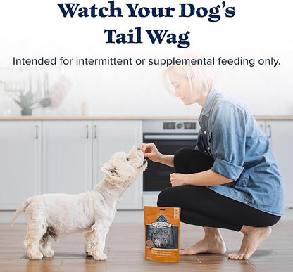 Blue Buffalo Wilderness Trail Treats High Protein Grain Free Dog Biscuits Crunchy Dog Treats, Turkey Recipe, 10-oz Bag