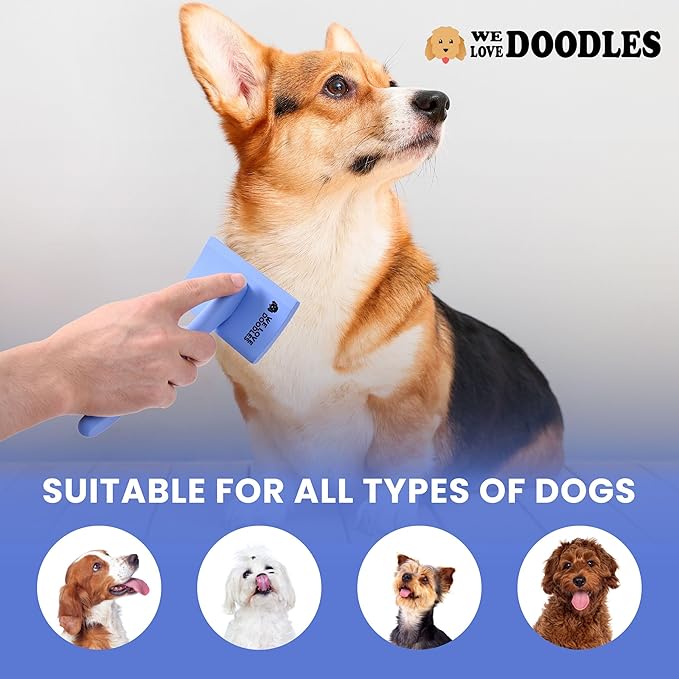 Slicker Brush for Dogs, Dog Grooming Supplies - Best Doodle & Poodle Brush for Haired Dogs - Goldendoodle Pin Detangler for Dematting (Medium Curved)
