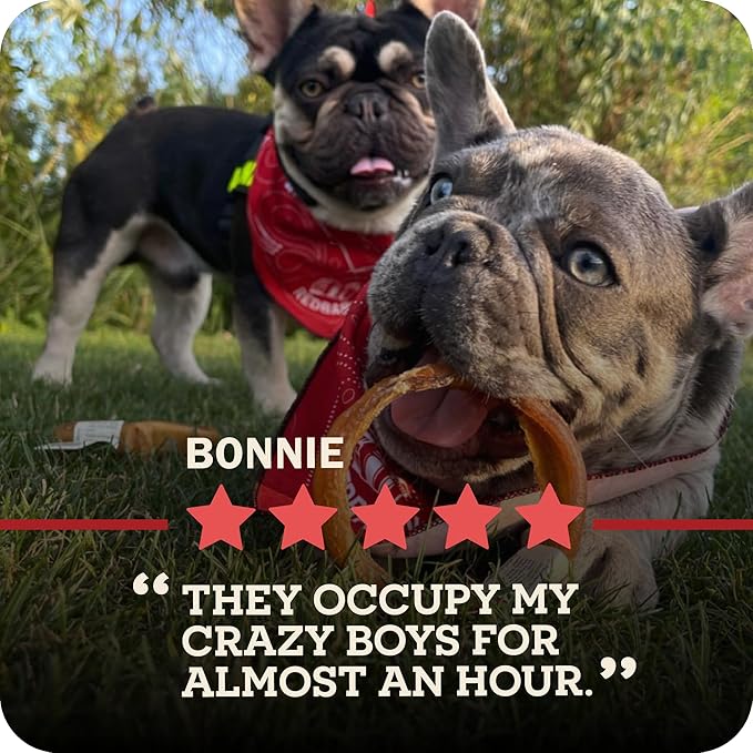 Redbarn 12" Bully Sticks for Dogs, Wrapped & Tagged Pet Chew Treat, Pack of 35