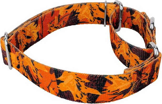 Country Brook Petz - Orange Sunset Camo Martingale Dog Collar and Leash - Camouflage Collection Featuring Rugged Designs (1/2 Inch, 2XS)