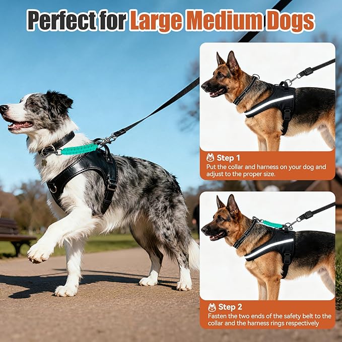 Dog Collar Safety Clip with Dual Clasps,Handmade Backup Safety Strap for Dog Harness, Collars and No Pull Harness Connectors (Teal)
