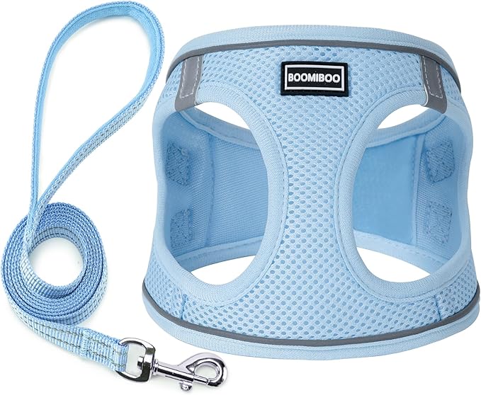 Dog Harness with Leash Set, No Pull Adjustable Reflective Step-in Puppy Pet Vest Harnesses for Small Medium Large Dogs and Cats,Sky Blue XS
