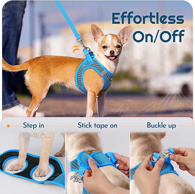 Eagloo Small Dog Harness and Leash Set, Step in Puppy Vest with Breathable Soft Mesh, Walking Reflective Pet Harness for Extra Small Dogs, Blue, XXS