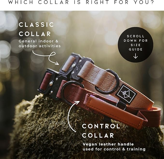 Made to ROAM Premium Dog Collar - Adjustable Heavy Duty Nylon Collar with Quick-Release Metal Buckle (Nevada Evening, Classic Size 1)
