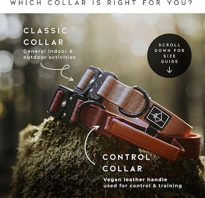 Made to ROAM Premium Dog Collar - Adjustable Heavy Duty Nylon Collar with Quick-Release Metal Buckle (Texas Flair, Classic Size 3)