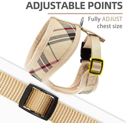 PUPTECK Soft Mesh Dog Harness Small Sized and Leash Set Pet Puppy Cat Comfort Padded Vest No Pull Harnesses, Beige, S