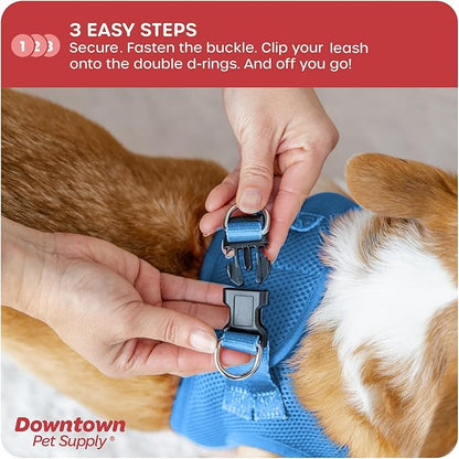 Downtown Pet Supply Step in Dog Harness for Small Dogs No Pull, Small, Cobalt - Adjustable Harness with Padded Mesh Fabric and Reflective Trim - Buckle Strap Harness for Dogs