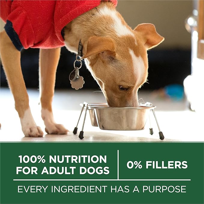 Purina One Small Breed Plus High-Protein Dog Food Lamb and Rice Formula Dry Dog Food - 7.4 lb. Bag