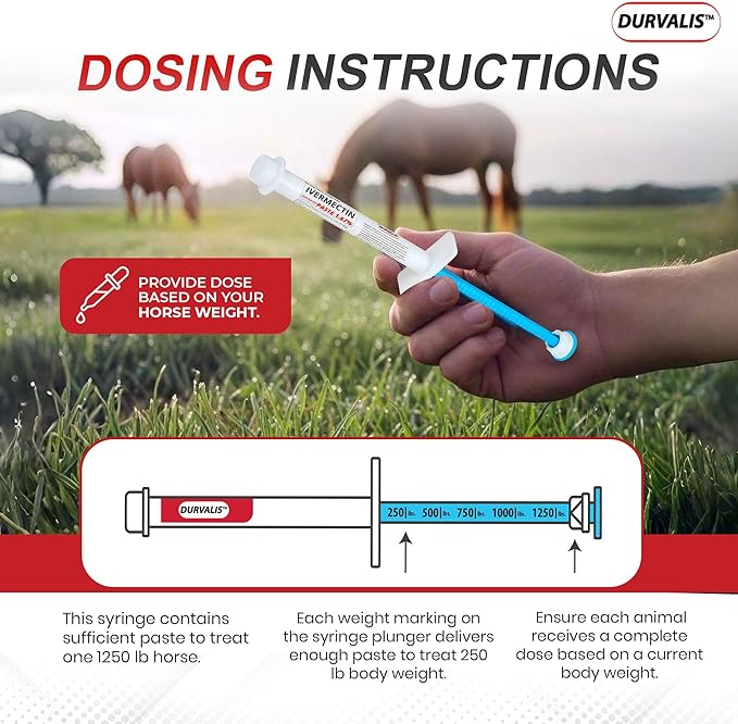 Ivermectin Horse Paste 1.87% Dewormer 6.08g Dose-Effective Appled Flavored Ivermectin Paste for Equine Care,Horse Deworming Paste -for Horses Up to 1250 lb (1 Pack)