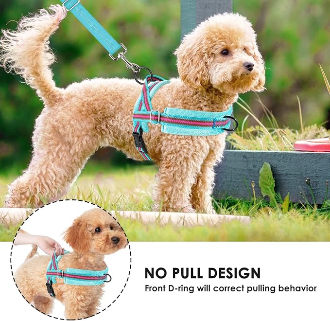 Lukovee No Pull Dog Harness and Leash Set, Soft Padded Small Dog Harness, Neck & Chest Adjustable Reflective Vest Puppy Harness with 4ft Lightweight Anti-Twist Dog Leash for Small Dogs (XS, 01-LBL)